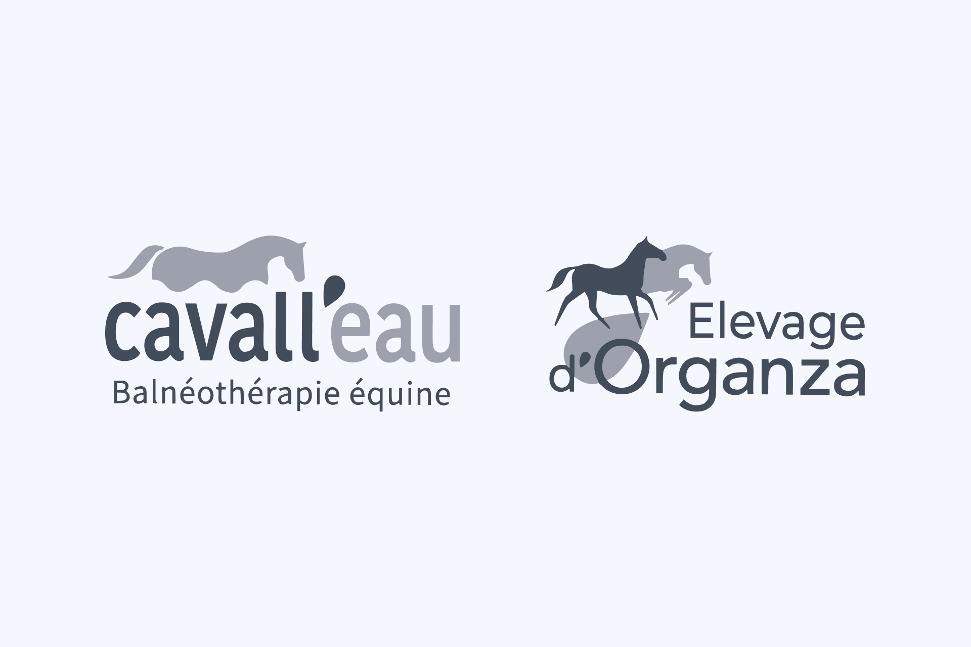 Image de remplacement